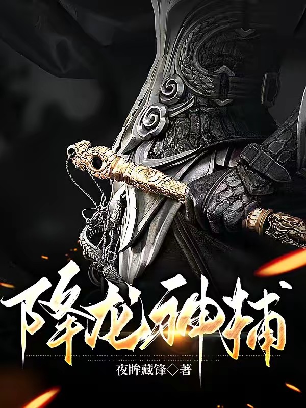 降龙神捕封面