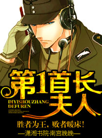第一首长夫人封面