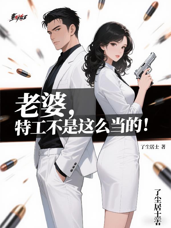 老婆，特工不是这么当的！封面