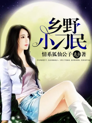 乡野小刁民封面