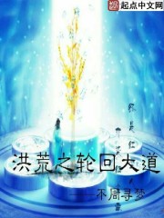 洪荒之轮回大道封面