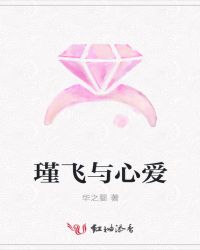 瑾飞与心爱封面