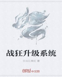 战狂升级系统封面