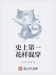 史上第一花样混穿封面