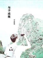 与子成伤封面