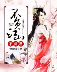 不负江山不负君封面