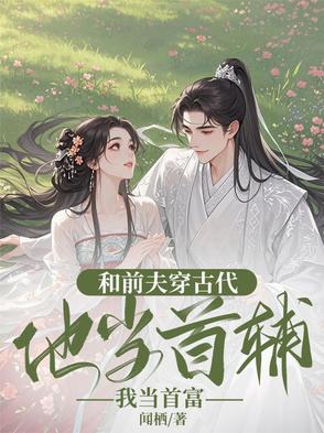 和前夫穿古代，他当首辅我当首富封面