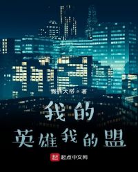 我的英雄我的盟封面