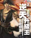 逆天升级王封面