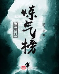 我要上炼气榜封面