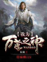 我为万道之神封面