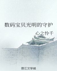 数码宝贝光明的守护封面