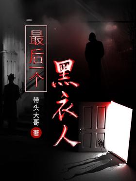 最后一个黑衣人封面