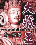 大藏王封面