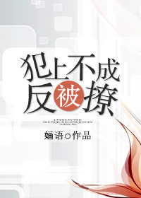 犯上不成反被撩封面