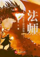 带玩家手册穿越做法师封面