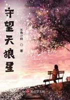 守望天狼星封面