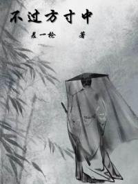不过方寸中封面