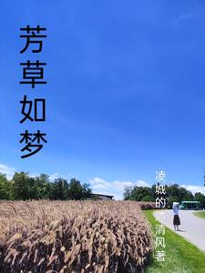 芳草如梦封面