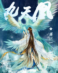九天凰封面