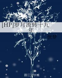 [HP]岁月流转十九年封面