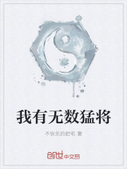 我有无数猛将封面
