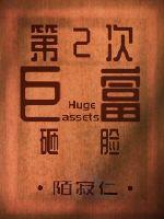 第二次巨富砸脸封面