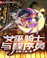 女巫骑士与程序员封面