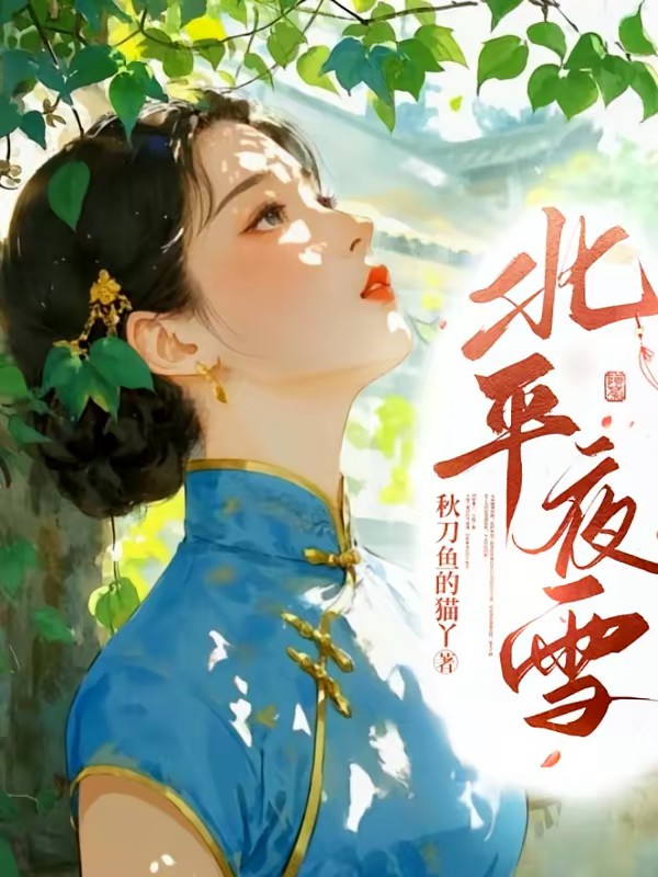 北平夜雪封面