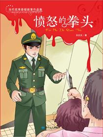 愤怒的拳头封面