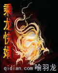 乘龙快婿封面