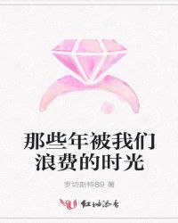 那些年被我们浪费的时光封面