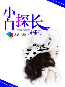 小白探长封面