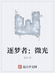 逐梦者：微光封面