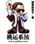 桃运系统封面