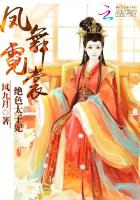 凤舞霓裳：绝色太子妃封面
