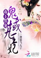 毒王黑宠：鬼域九王妃封面