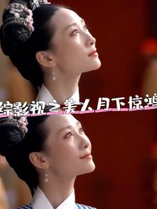 综影视之月下惊鸿封面