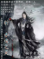 斩赤魂之灵封面