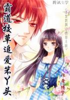 霸道校草追爱笨丫头封面