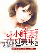权少私宠：小小鲜妻，好美味封面