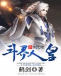 斗界人皇封面