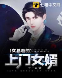 女总裁的上门女婿封面
