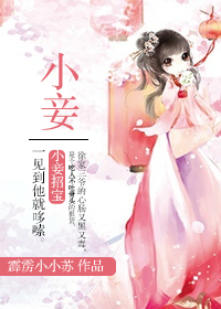 小妾封面