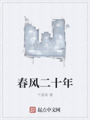 春风二十年封面