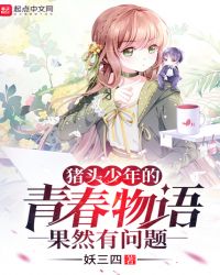 猪头少年的青春物语果然有问题封面