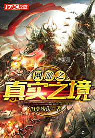 网游之真实之境封面