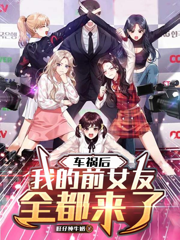 车祸后，我的前女友全都来了封面