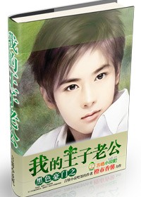 豪门之我的王子老公封面