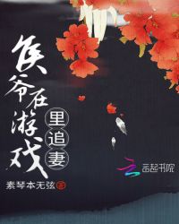 侯爷在游戏里追妻封面